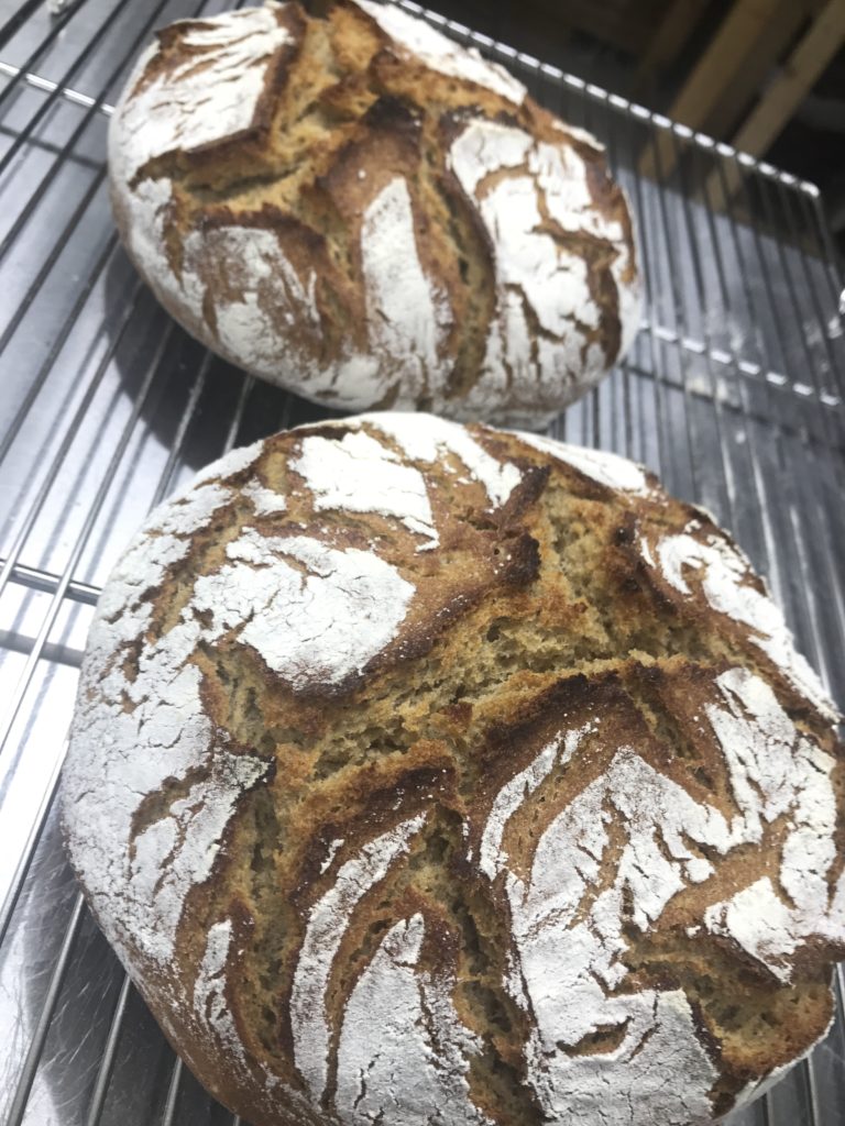 Broa トウモロコシ粉とライ麦のパン