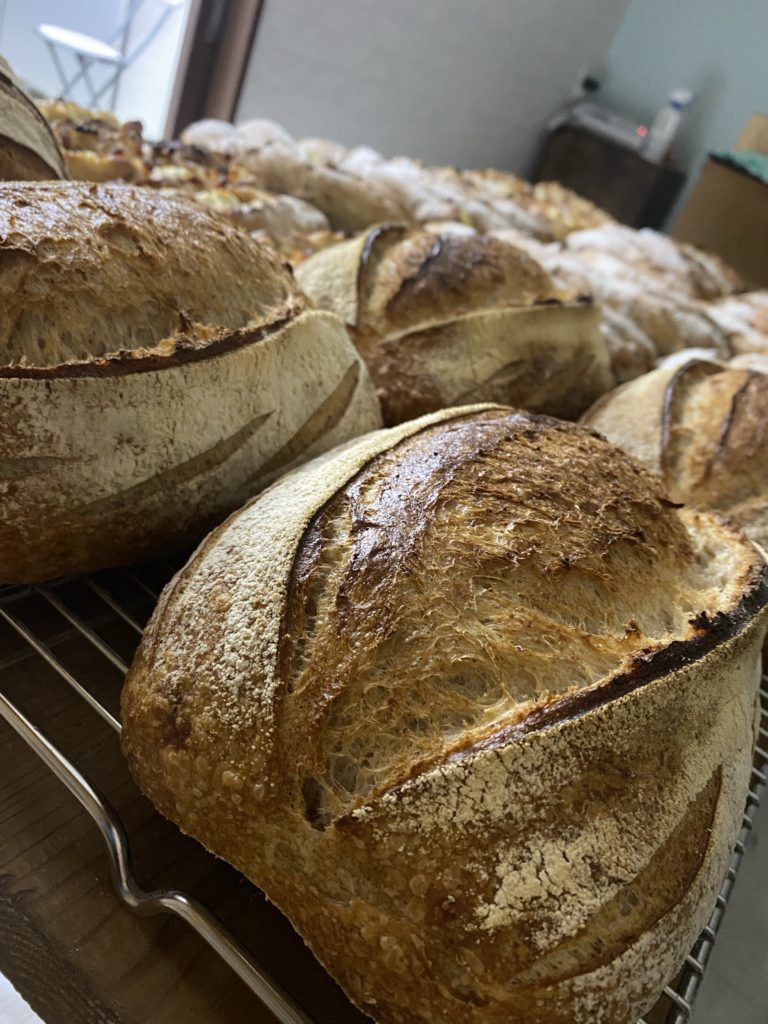 Sourdough bread ゆぎっ小麦全粒粉使用のサワードウブレッド